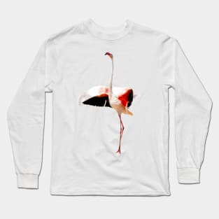 Flamingo Print Returned Long Sleeve T-Shirt